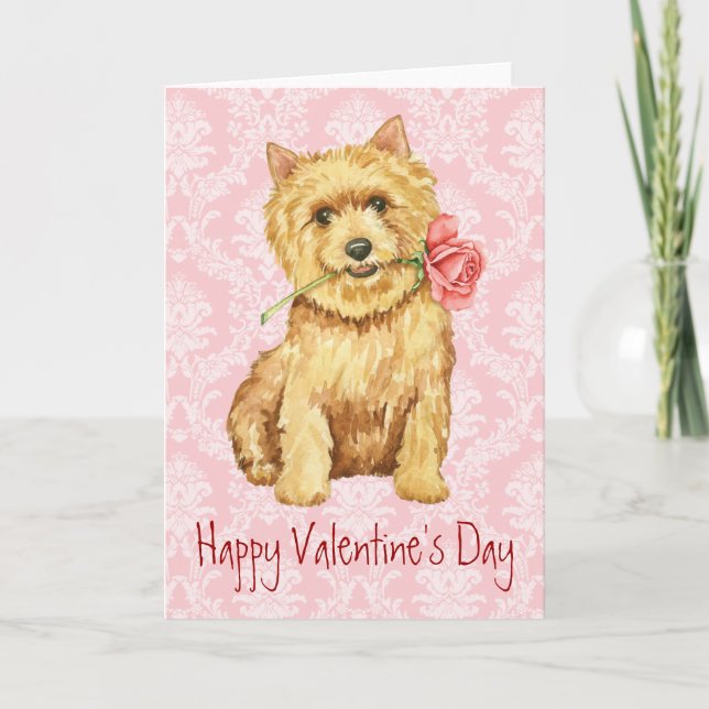 Valentine Rose Norwich Terrier Helgkort (Framsida)