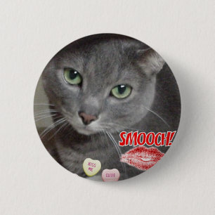 Valentine Russian Blue Cat Knapp