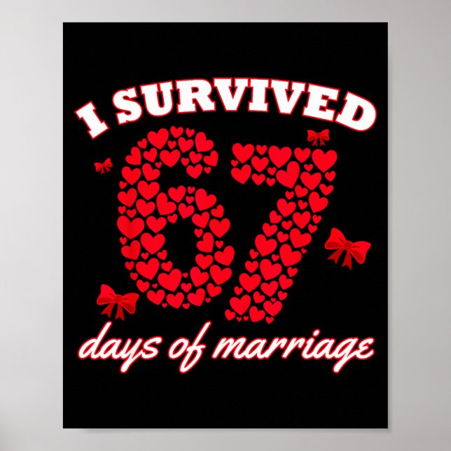 Valentine’s Day I Survived 67 Days Of Dating Funny Poster (Framsidan)