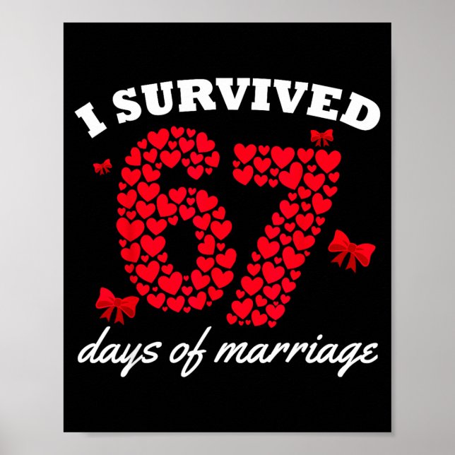 Valentine’s Day I Survived 67 Days Of Marriage Fun Poster (Framsidan)