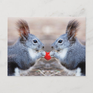 Valentine Squirrels vycard Helg Vykort