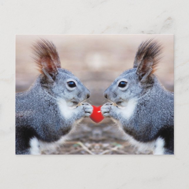 Valentine Squirrels vycard Helg Vykort (Framsida)