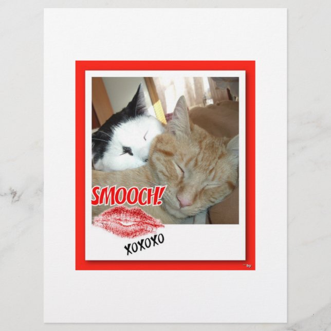 Valentine Tabby Katter Reklamblad (Framsidan)