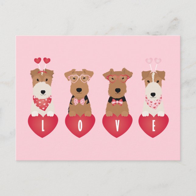 Valentine Welsh Wire Fox Terrier Hundar Vykort (Framsida)