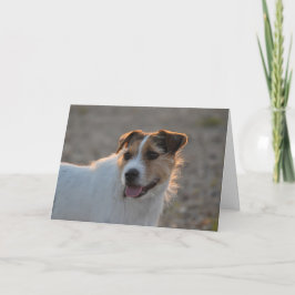 Valentinen bildar hunden helgkort
