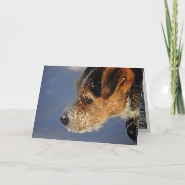 Valentinen bildar hunden helgkort (Framsida)