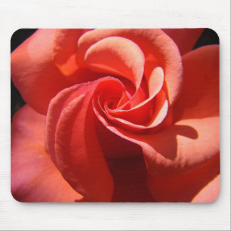Valentinepresent Ros Spiral Musmattor Vacker Ros