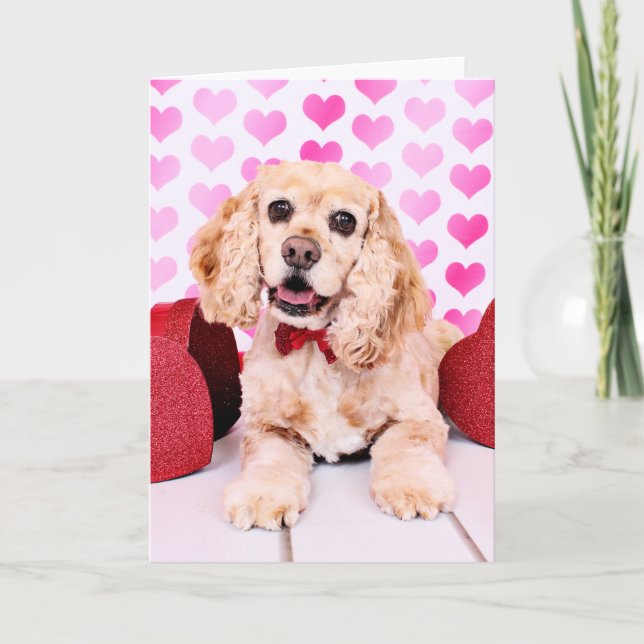 Valentines - cockerspanielSpaniel - hertig Helgkort (Framsida)