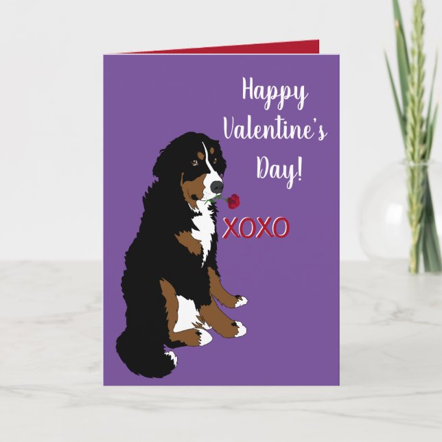 Valentines day Bernese Mountain Hund Kort (Framsida)