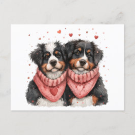 Valentines day Bernese Mountain Hundar Helg Vykort