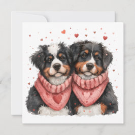 Valentines day Bernese Mountain Hundar Julkort