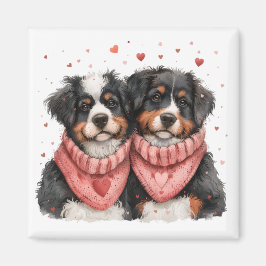 Valentines day Bernese Mountain Hundar Magnet