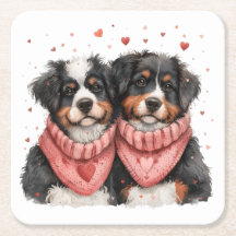 Valentines day Bernese Mountain Hundar