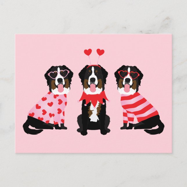 Valentines day Bernese Mountain Hundar Vykort (Framsida)