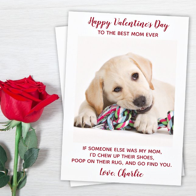 Valentines day Best Mamma någonsin Pet Hund Photo  Julkort (Skapare uppladdad)