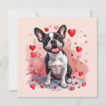 Valentines day Boston Terrier Hund
