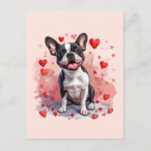 Valentines day Boston Terrier Hund