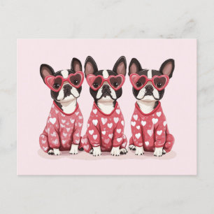 Valentines day Boston Terrier Hundar Helg Vykort
