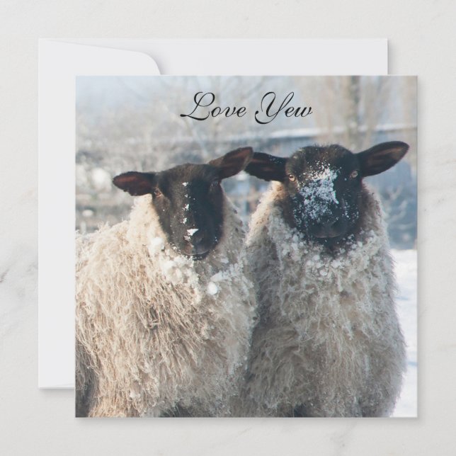 Valentine's Day Card Kort (Framsida)