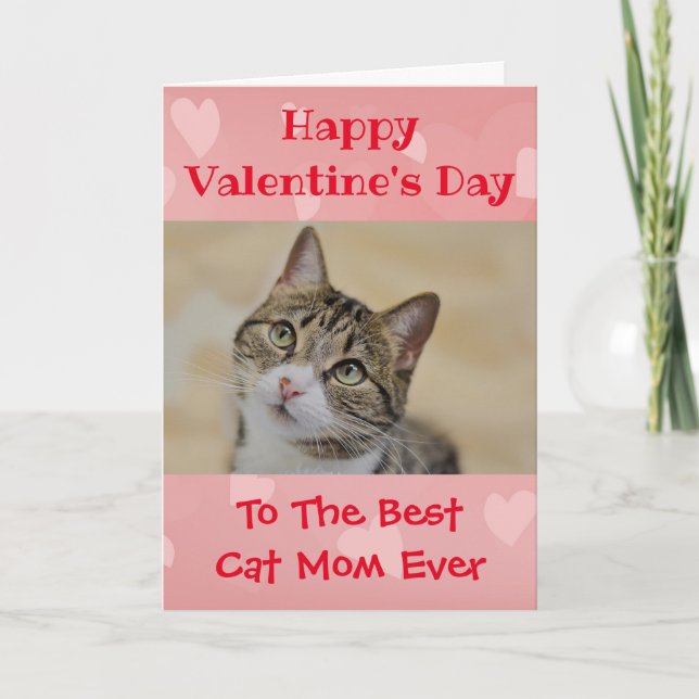 Valentines day Cat Worlds Best Mamma någonsin Pet  Helgkort (Framsida)