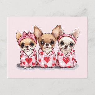 Valentines day Chihuahua Hundar Vykort