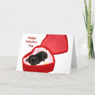 Valentines day Doxie Helgkort