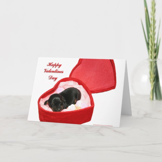 Valentines day Doxie Helgkort (Framsida)