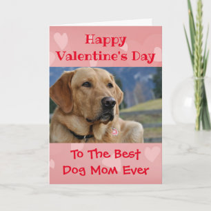 Valentines day Hund World Bästa någonsin Pet Photo Kort