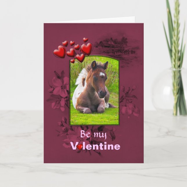 Valentines day, Kneeling Dartmoor Pony Foal Helgkort (Framsida)