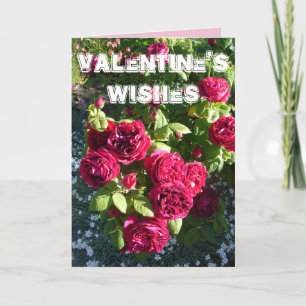 Valentines day-kortet Röd ros Blomsterträdgård blo Kort