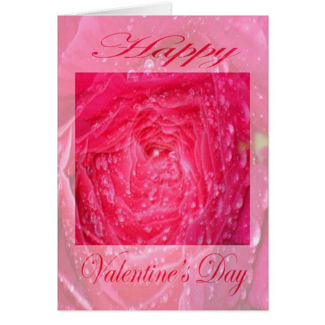 Valentines day Rosa ros med regndroppar Hälsningskort (Framsidan)