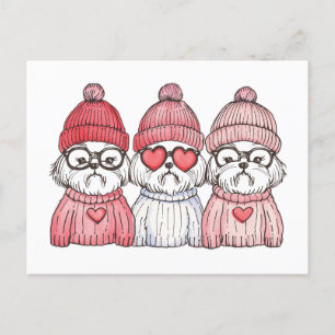 Valentines day Shih Tzu Hundar Vykort
