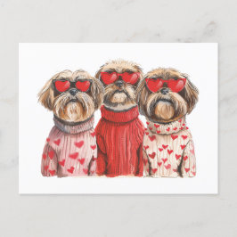 Valentines day Shih Tzu Hundar Vykort