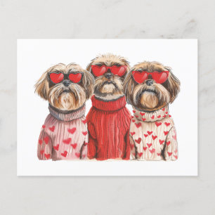 Valentines day Shih Tzu Hundar Vykort
