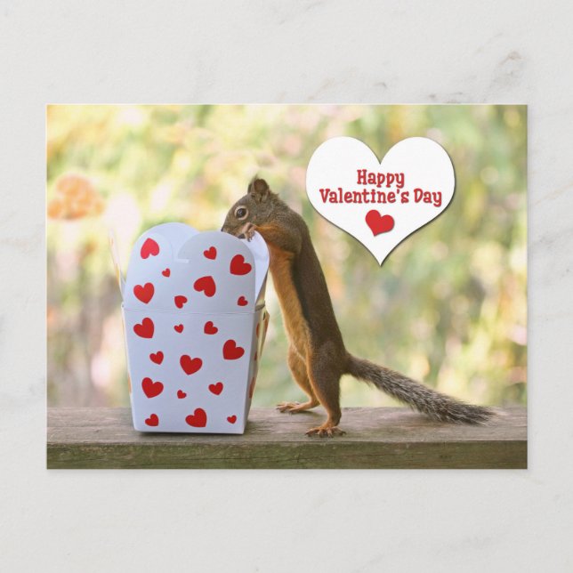 Valentines day Squirrel Helg Vykort (Framsida)