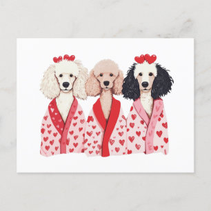 Valentines day Standard Pudel Hundar Helg Vykort