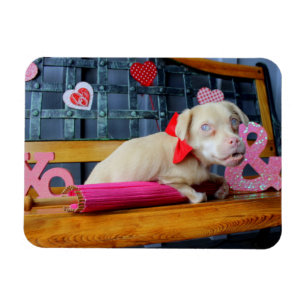Valentines day Tucker Magnet