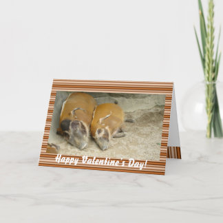 Valentine's day_ warthog Card Helgkort