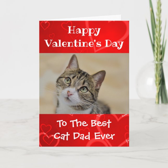 Valentines day Worlds Best Cat Pappa någonsin Pet  Helgkort (Framsida)