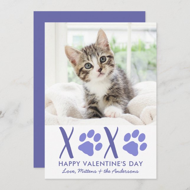 Valentines day XOXO Cute Kitten Cat Pet Photo Julkort (Fram/baksida)