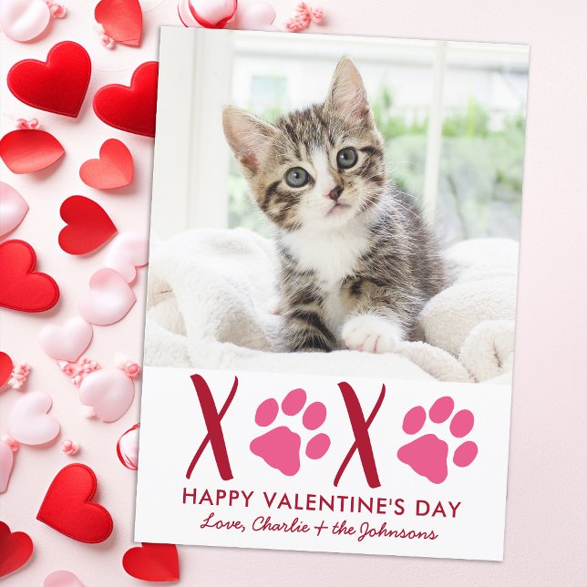 Valentines day XOXO Cute Kitten Pet Cat Photo Julkort (Skapare uppladdad)