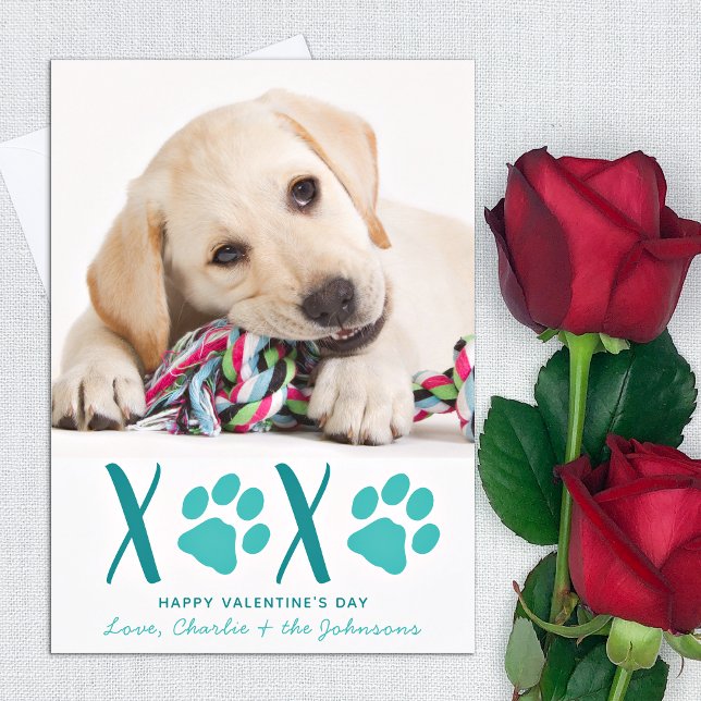 Valentines day XOXO Cute Puppy Hund Photo Julkort (Skapare uppladdad)