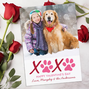 Valentines day XOXO Modern Puppy Hund Pet Photo Julkort
