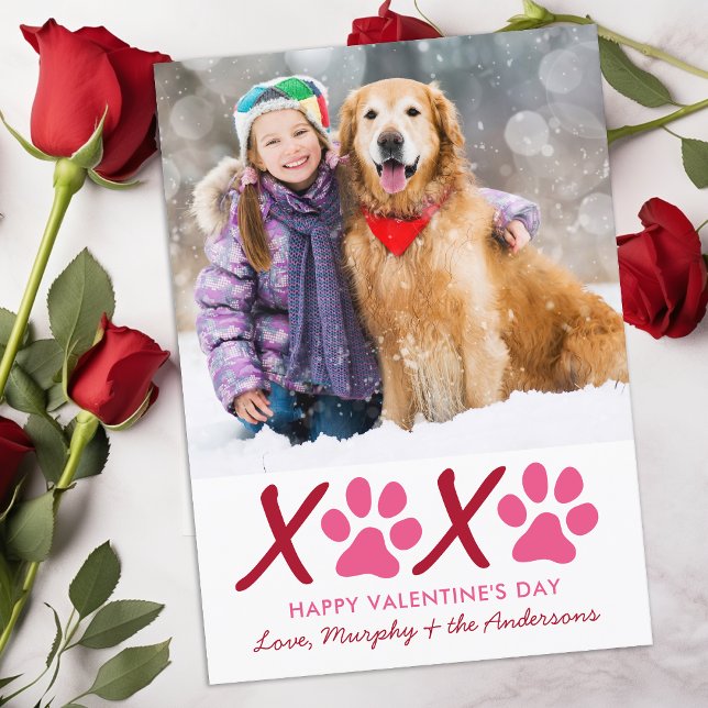 Valentines day XOXO Modern Puppy Hund Pet Photo Julkort (Skapare uppladdad)