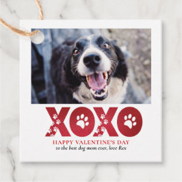 Valentines day XOXO Pet Hund Photo Gåvor Etiketter