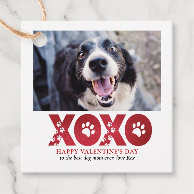 Valentines day XOXO Pet Hund Photo Gåvor Etiketter (Framsida)