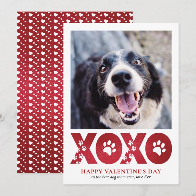 valentines day XOXO Pet Hund Photo Julkort (Fram/baksida)