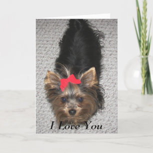 Valentines day-Yorkie I kärlek du Helgkort