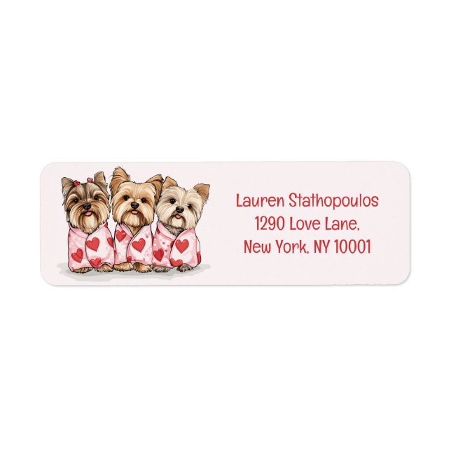 Valentines day Yorkshire Terrier Hundar Returadress Etikett (Framsidan)