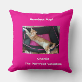 Valentine's Ginger Cat Photo Fun Kudde